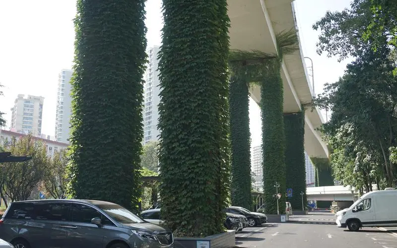 专业种植养护绿化工程
