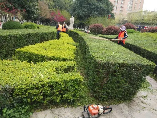 嘉定区房顶绿化工程团队