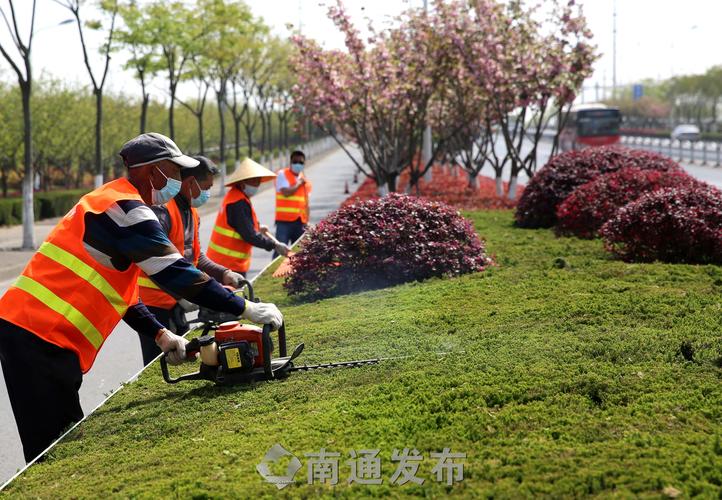 万柏林区先进绿化工程